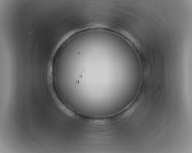 X0000113911126200909241504