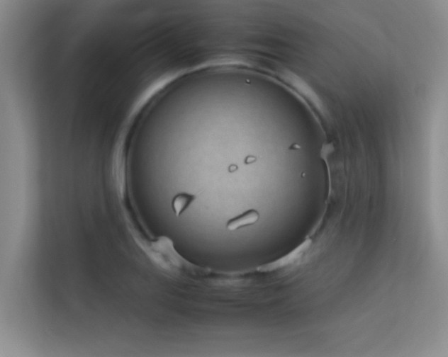X0000113911127200909241504