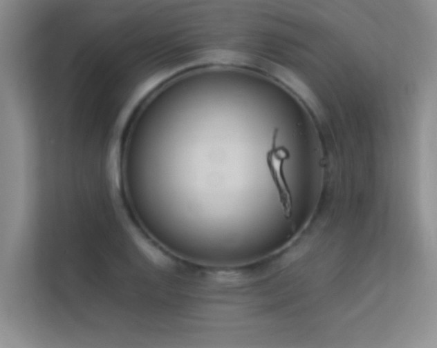 X0000113911128200909241504