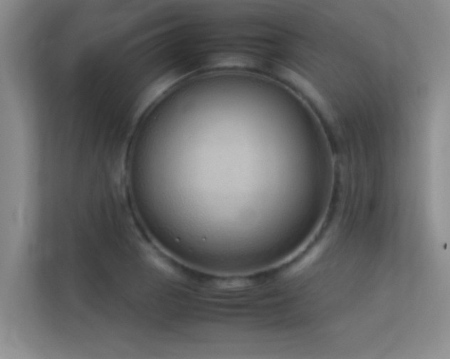 X0000113911129200909241504