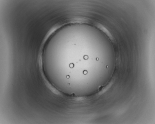 X0000113911130200909241504