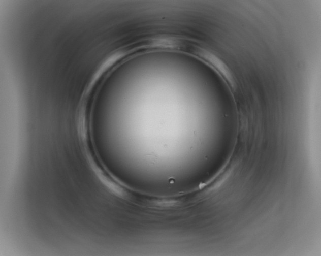X0000113911131200909241504