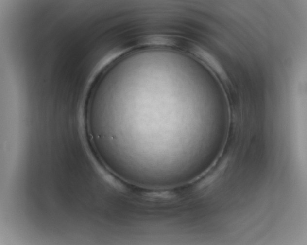 X0000113911133200909241504