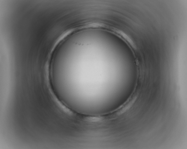 X0000113911134200909241504