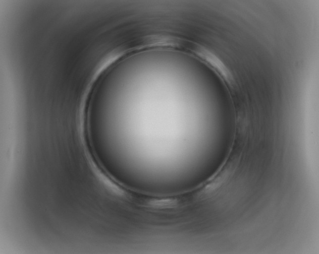 X0000113911135200909241504