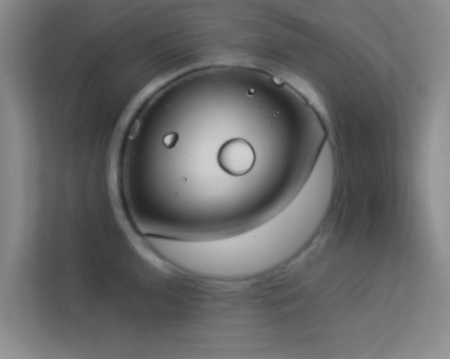 X0000113911136200909241504