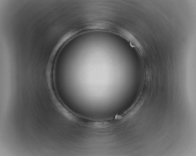X0000113911138200909241504