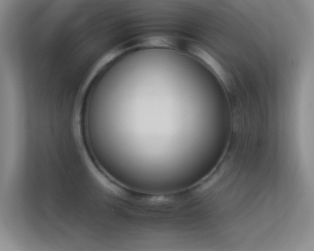 X0000113911139200909241504