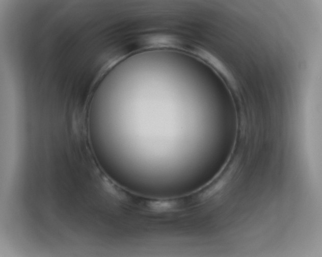 X0000113911145200909241504