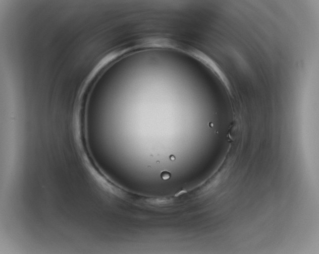 X0000113911147200909241504