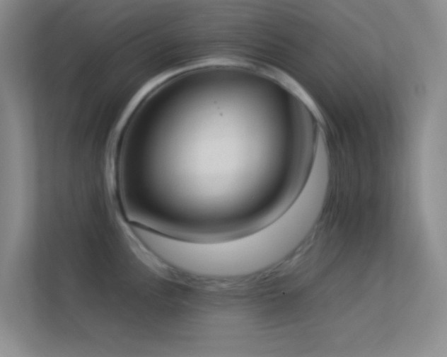 X0000113911148200909241504