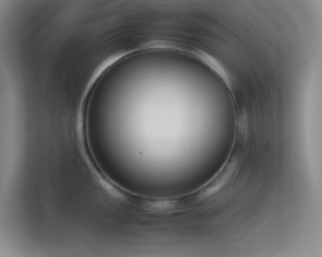 X0000113911149200909241504
