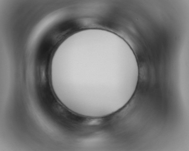 X0000113911150200909241504