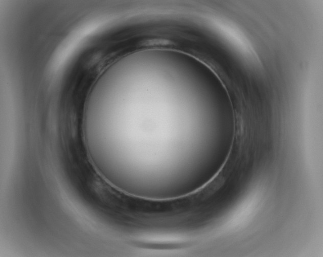 X0000113911151200909241504
