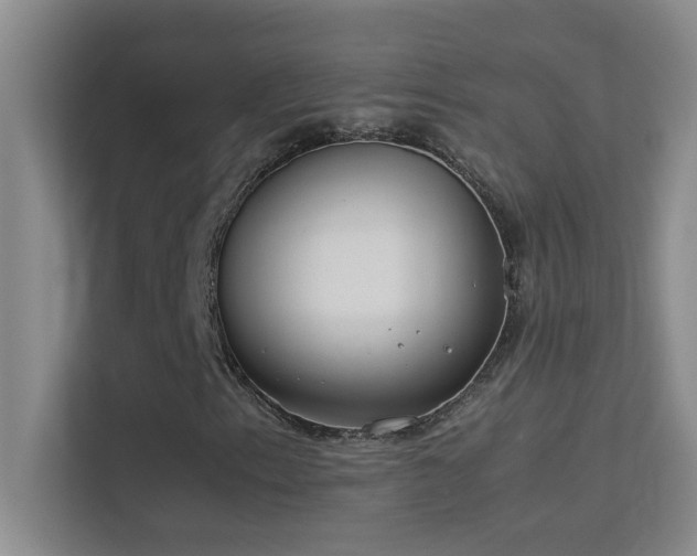 X0000113911153200909241504