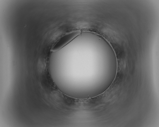 X0000113911157200909241504