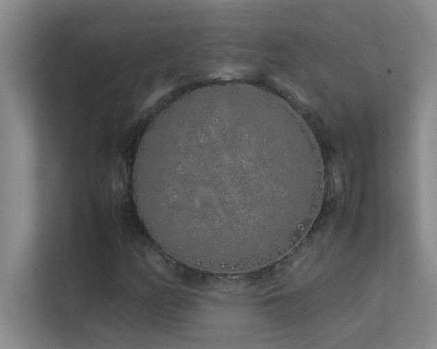 X0000113911158200909241504