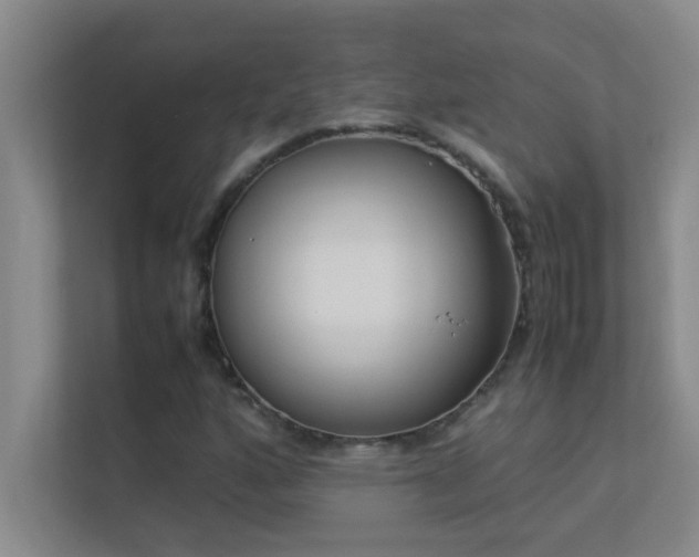X0000113911160200909241504