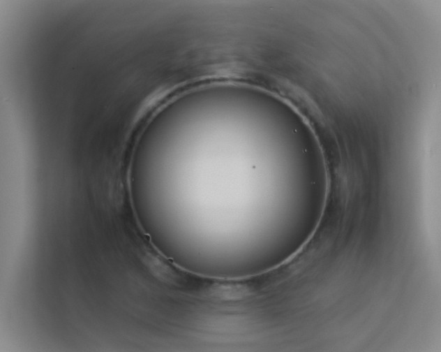 X0000113911168200909241503