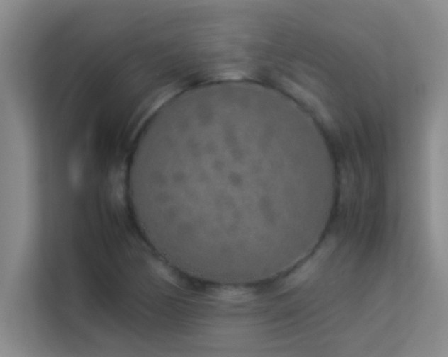 X0000113911170200909241503