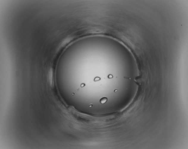 X0000113911171200909241503