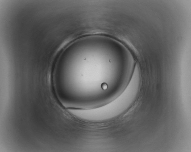 X0000113911173200909241503