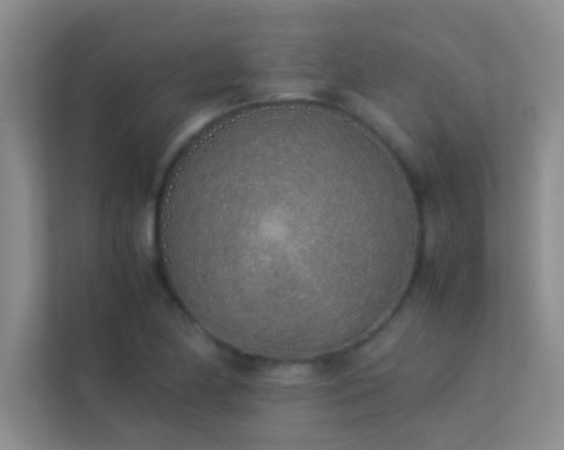 X0000113911174200909241503