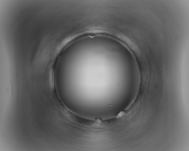 X0000113911175200909241503