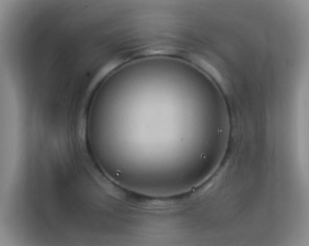 X0000113911179200909241503
