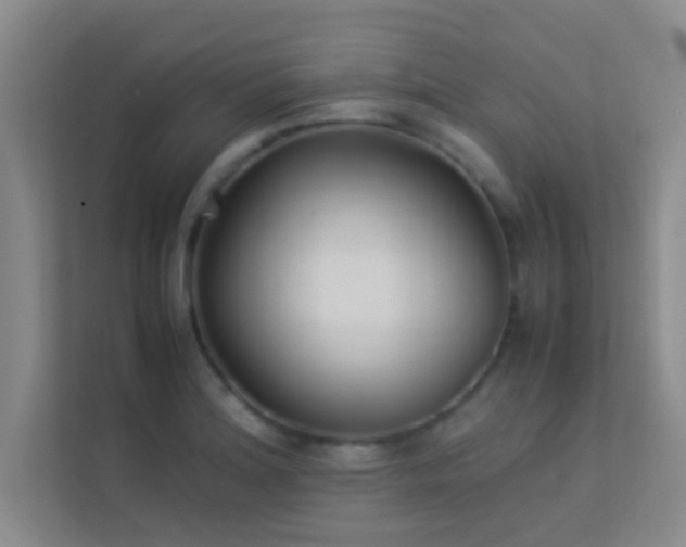 X0000113911180200909241503
