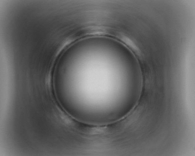 X0000113911181200909241503