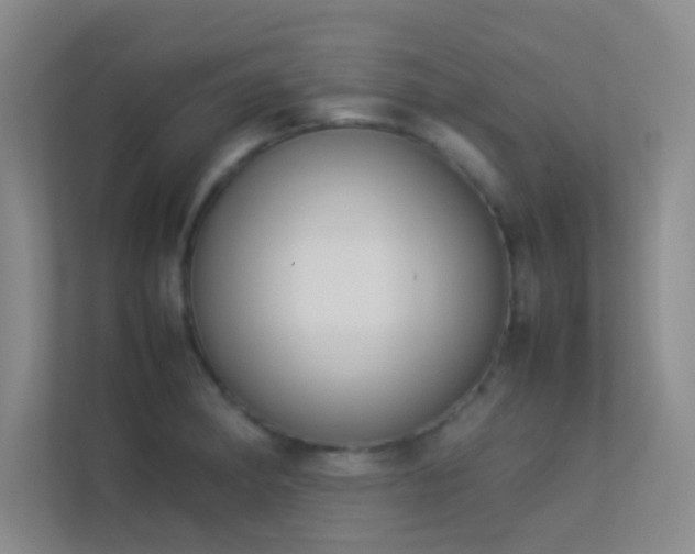 X0000113911182200909241503