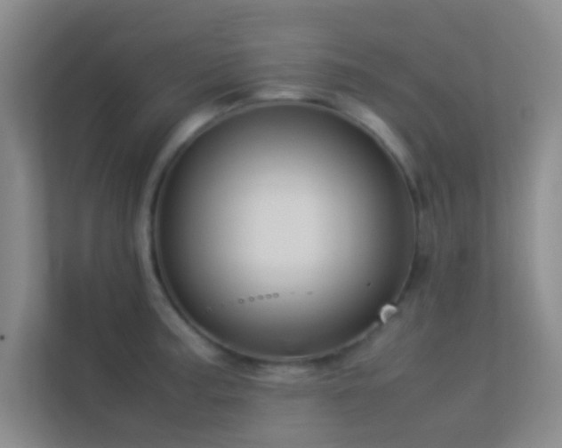 X0000113911187200909241503