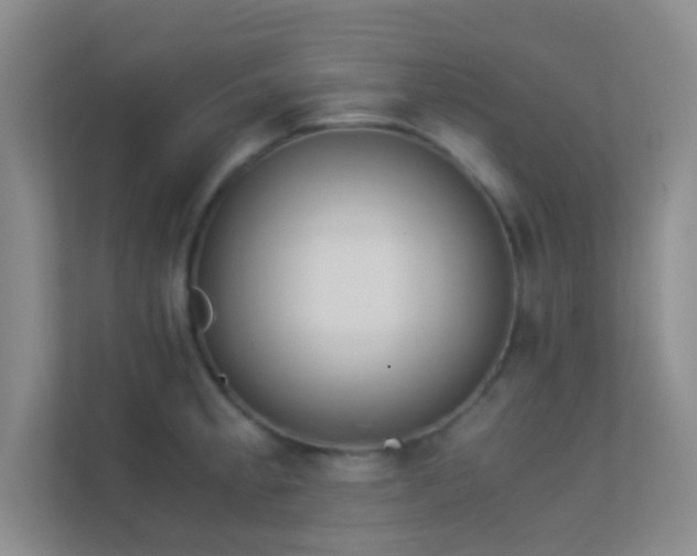 X0000113911189200909241503