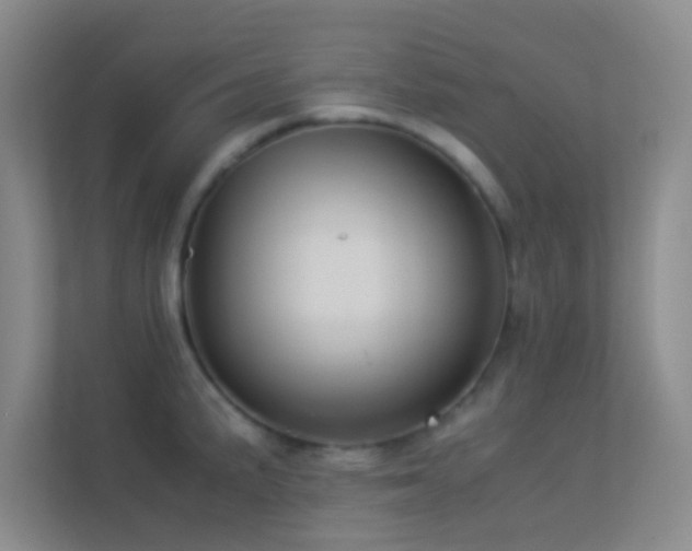X0000113911191200909241503