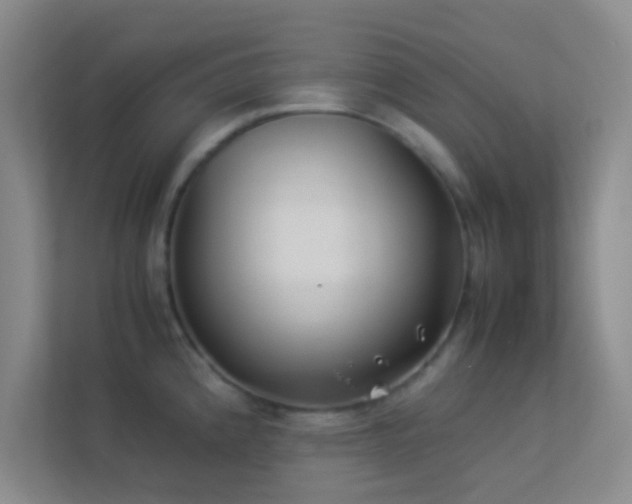 X0000113911192200909241503