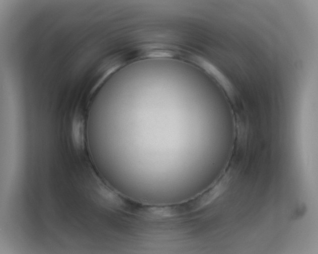 X0000113911194200909241503