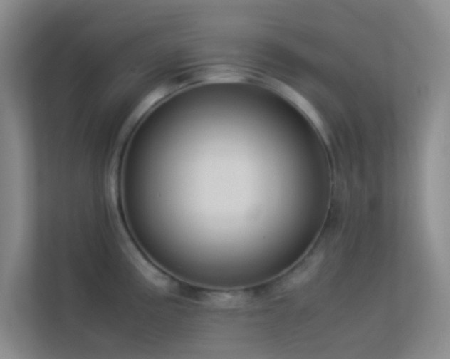 X0000113911195200909241503