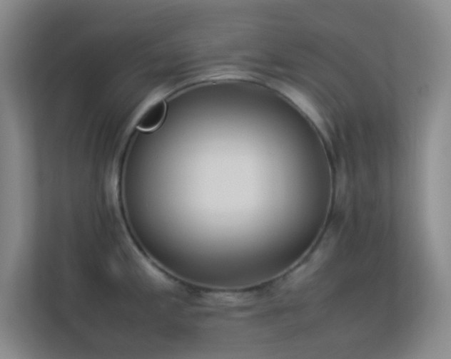 X0000113911197200909241503