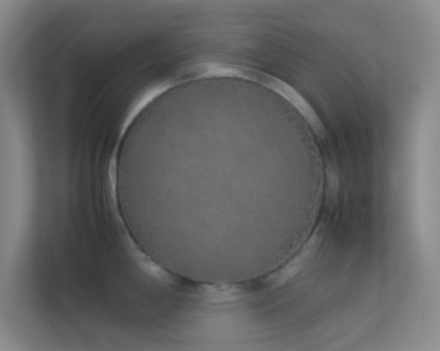 X0000113911198200909241503