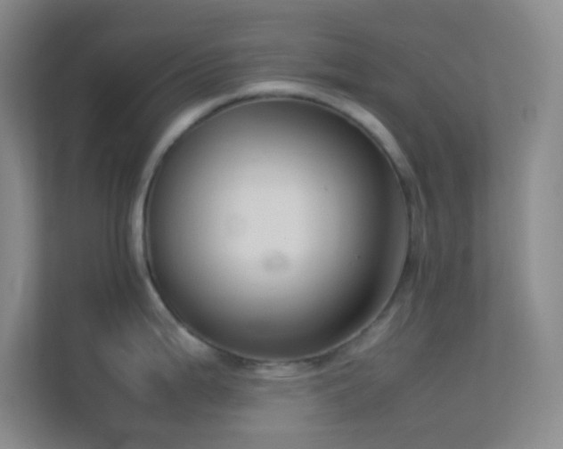 X0000113911199200909241503