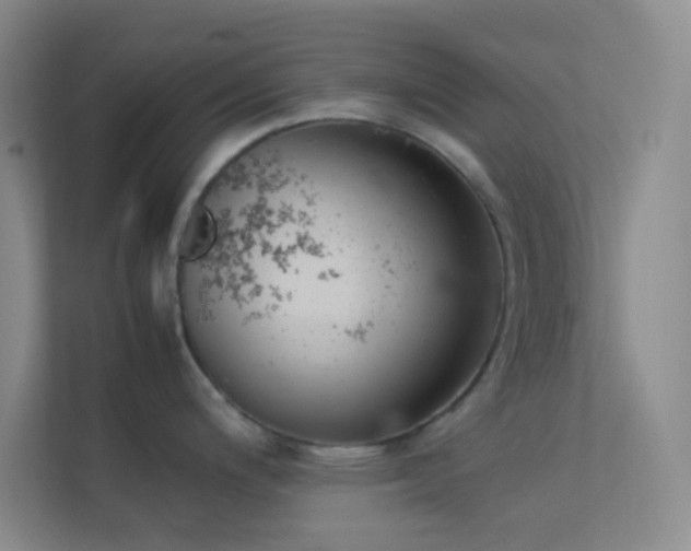 X0000113911200200909241503