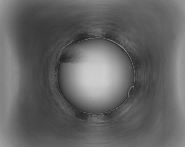 X0000113911201200909241502