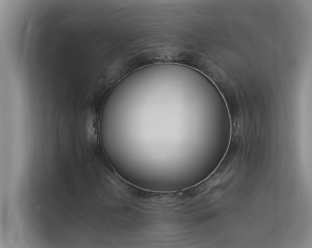X0000113911202200909241502