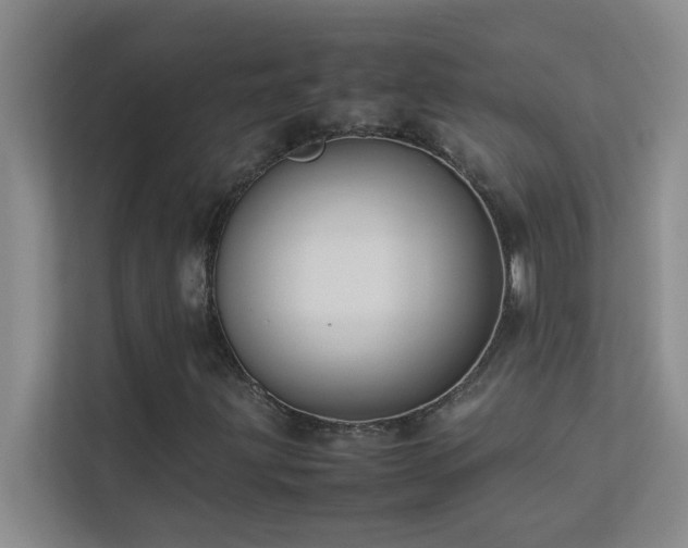 X0000113911203200909241502