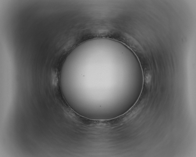 X0000113911204200909241502