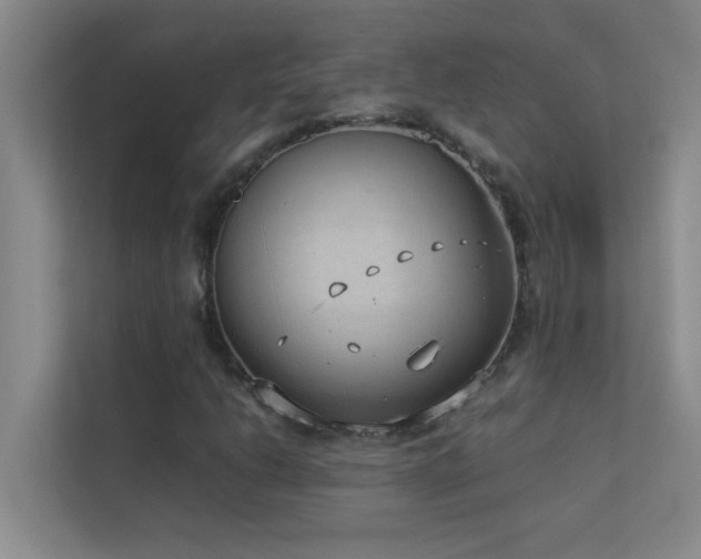 X0000113911206200909241502