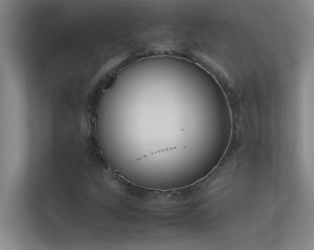 X0000113911207200909241502