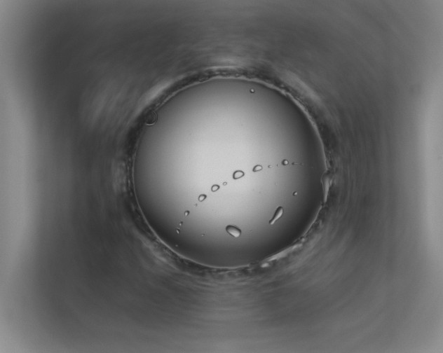 X0000113911208200909241502