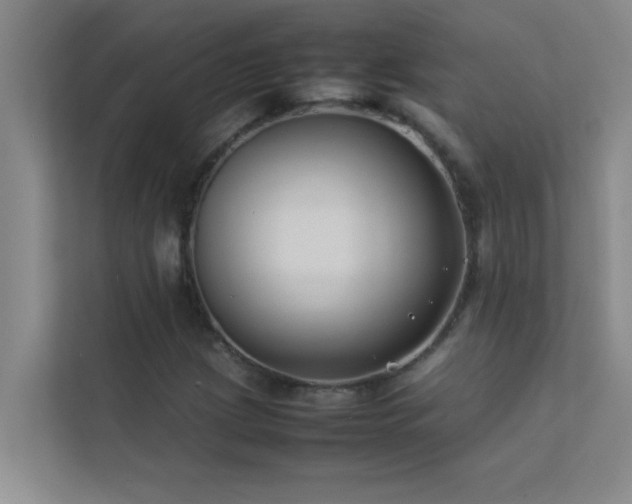 X0000113911209200909241502